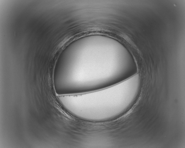 X0000062600969200601040909