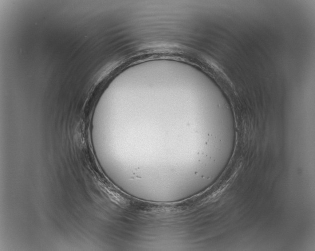 X0000062600970200601040909