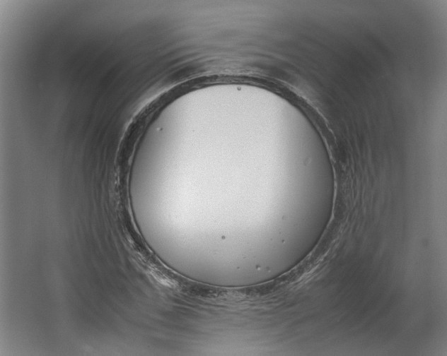 X0000062600971200601040909