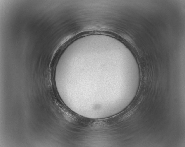 X0000062600974200601040909