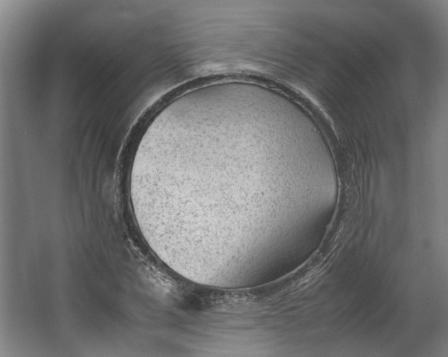 X0000062600975200601040909