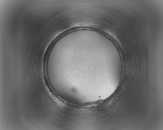 X0000062600976200601040909