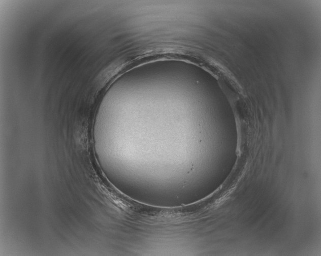 X0000062600977200601040909