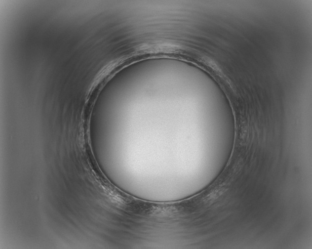 X0000062600978200601040909