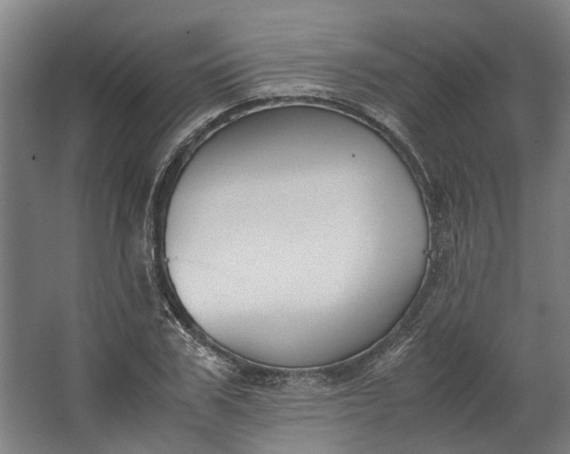 X0000062600979200601040909