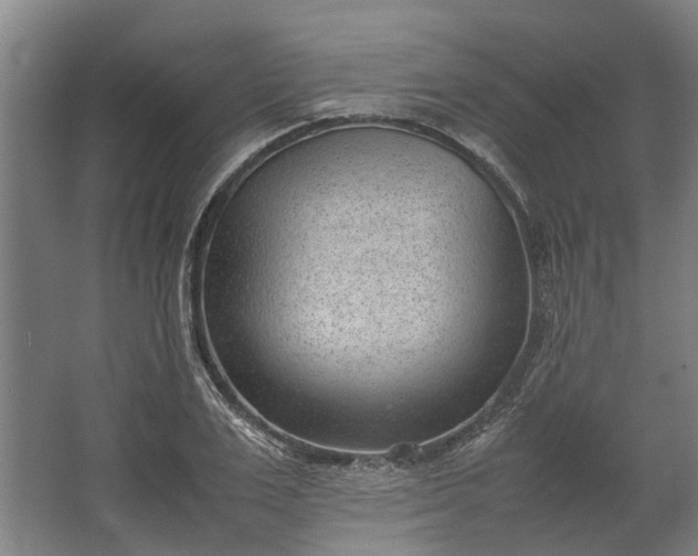 X0000062600983200601040909