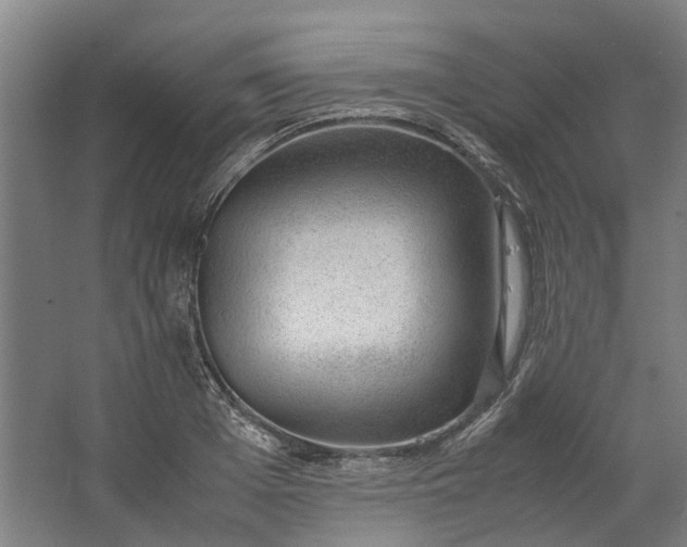 X0000062600985200601040909