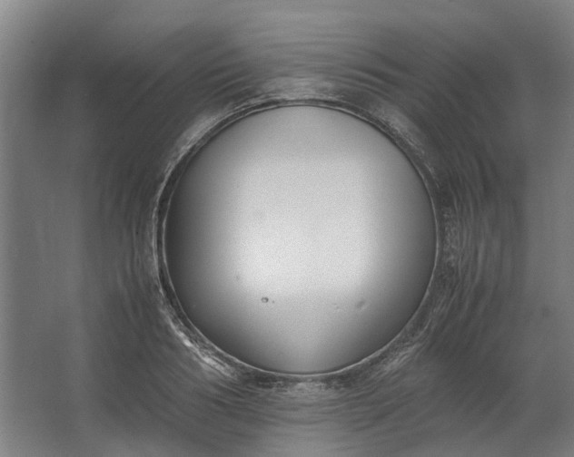 X0000062600986200601040909