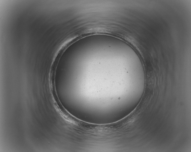 X0000062600987200601040909