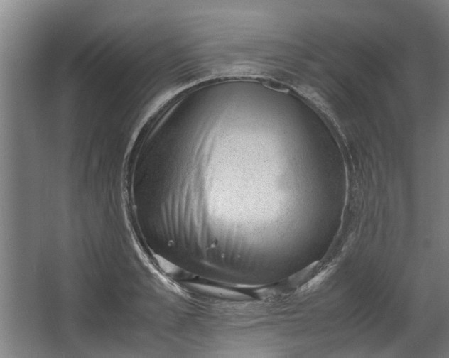 X0000062600989200601040909