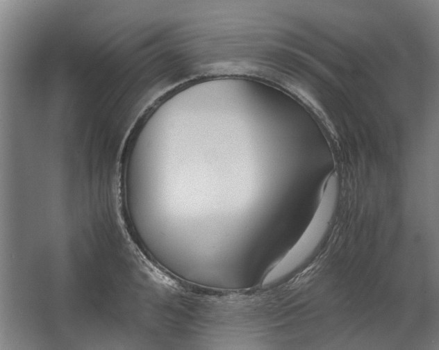 X0000062600992200601040909