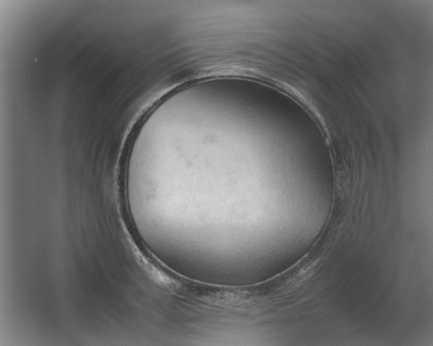 X0000062600995200601040909