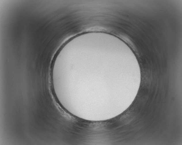 X0000062601000200601040909