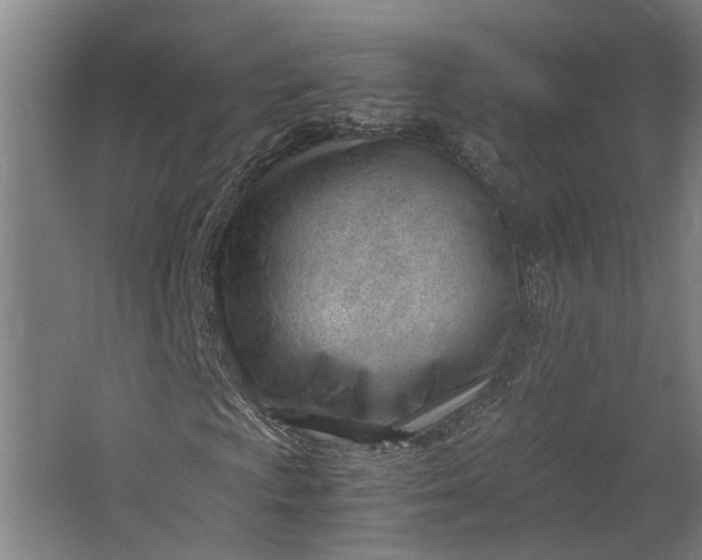 X0000062601009200601040908