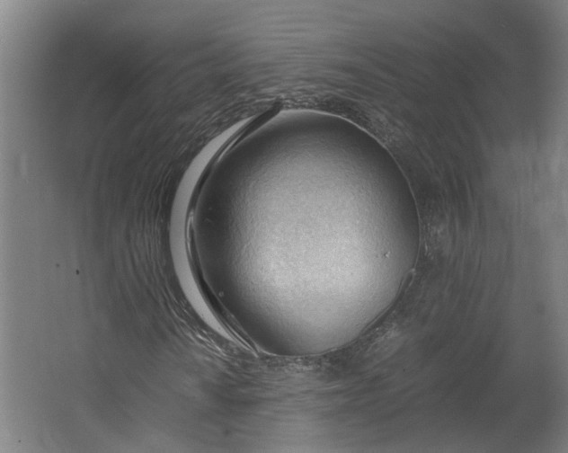 X0000062601010200601040908