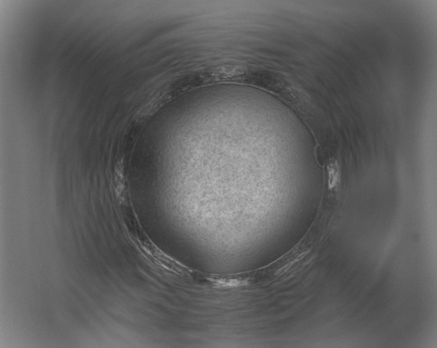 X0000062601011200601040908