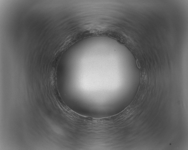 X0000062601012200601040908