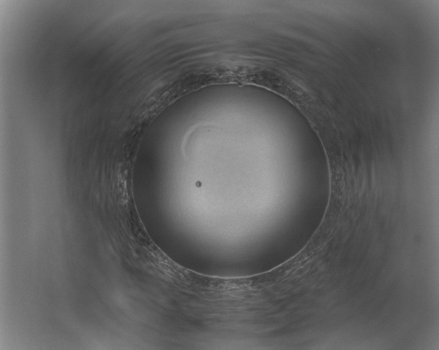 X0000062601013200601040908