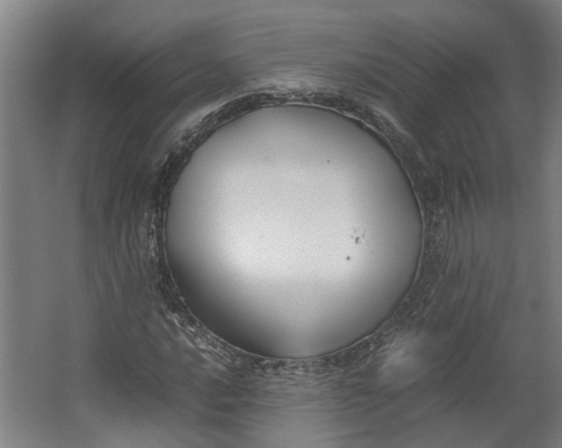 X0000062601016200601040908