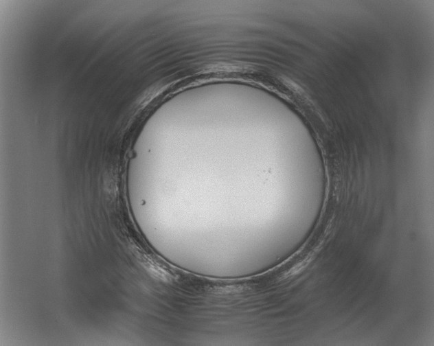 X0000062601017200601040908