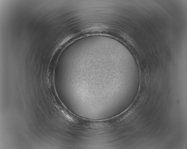 X0000062601018200601040908