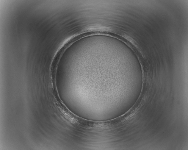 X0000062601022200601040908