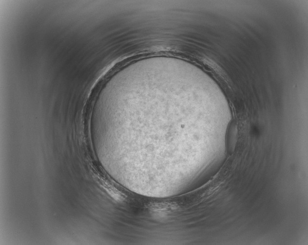 X0000062601023200601040908