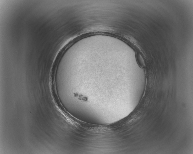 X0000062601024200601040908