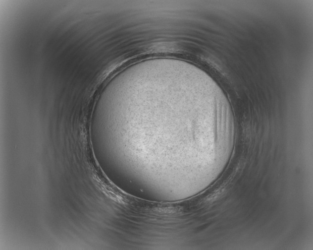 X0000062601025200601040908