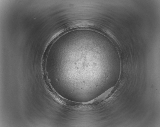 X0000062601026200601040908