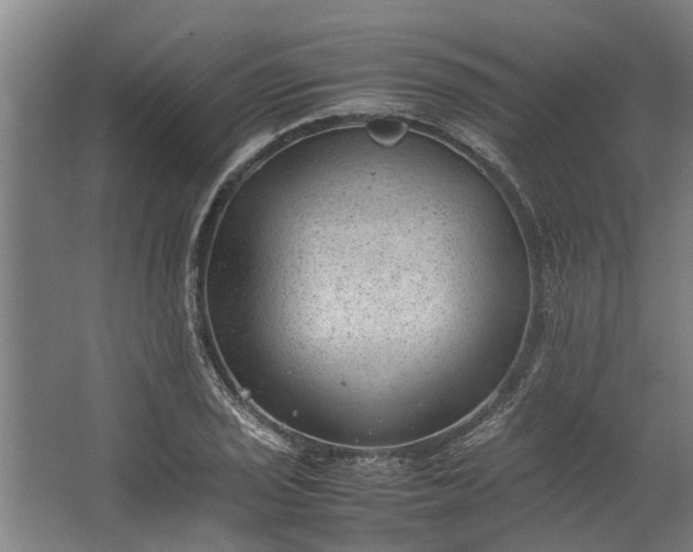 X0000062601029200601040908