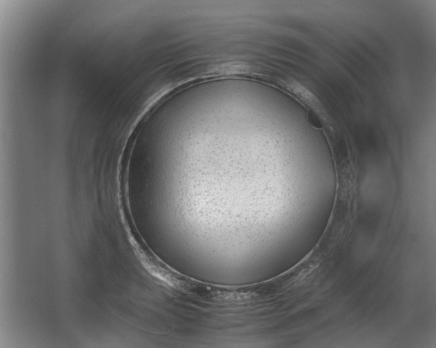 X0000062601039200601040908