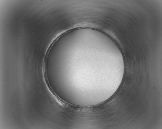 X0000062601040200601040908