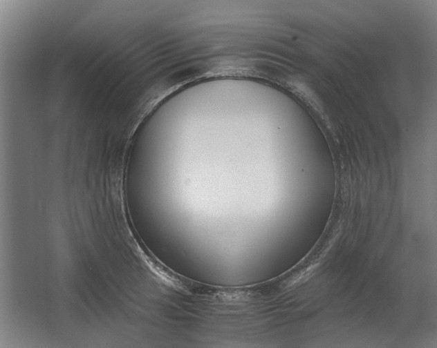 X0000062601041200601040908