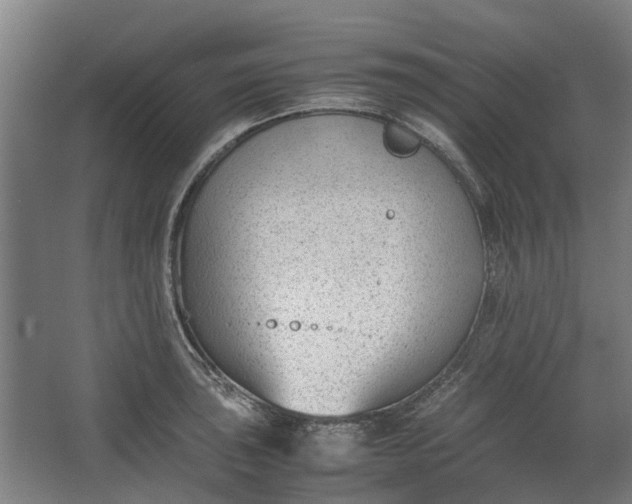 X0000062601043200601040908