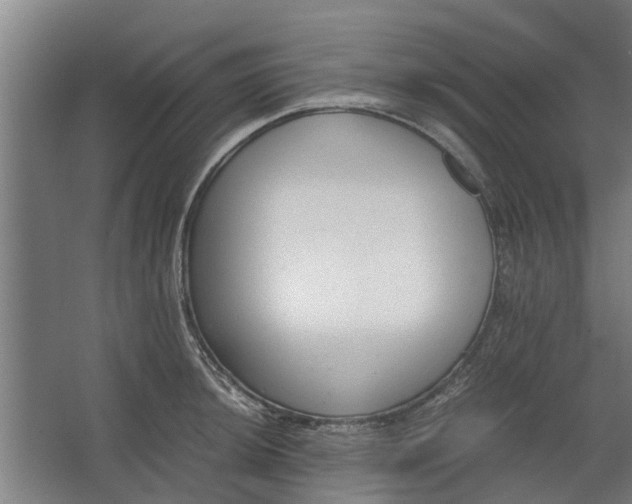 X0000062601044200601040908