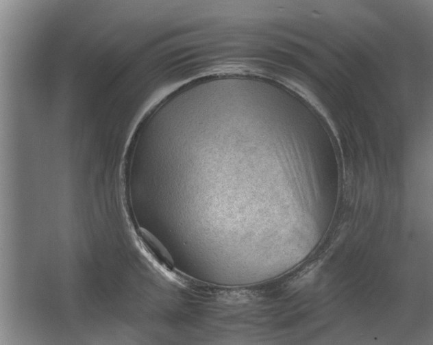 X0000062601045200601040908