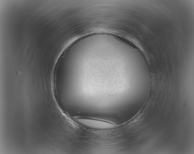 X0000062601048200601040908