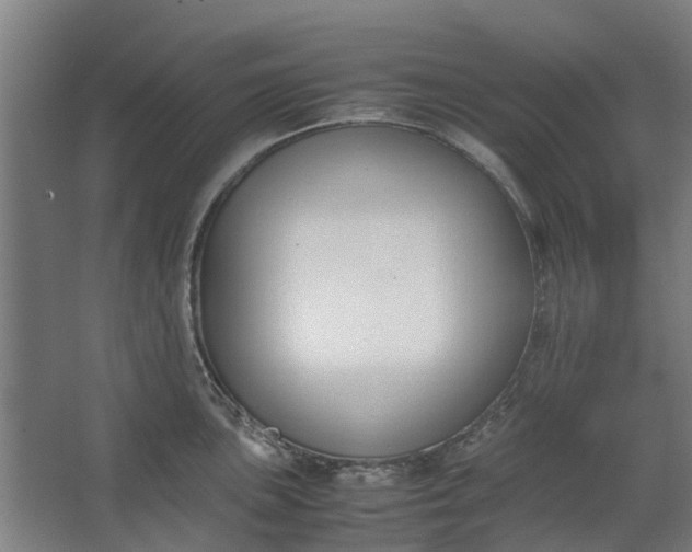 X0000062601051200601040908