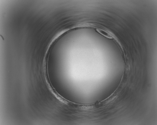 X0000062601053200601040908