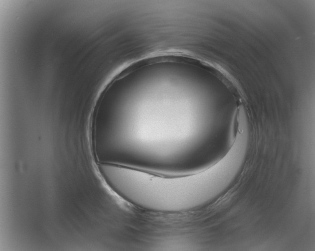 X0000062601054200601040908