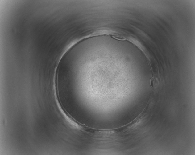 X0000062601055200601040908