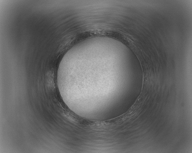 X0000062601060200601040908