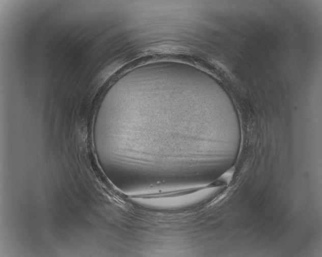 X0000062601065200601040907