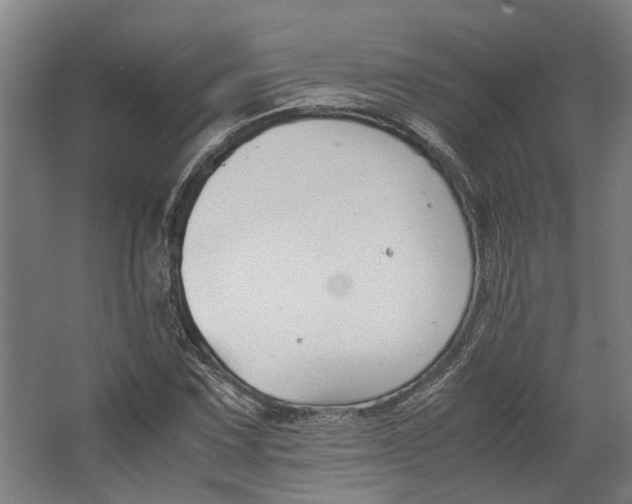 X0000062601067200601040907