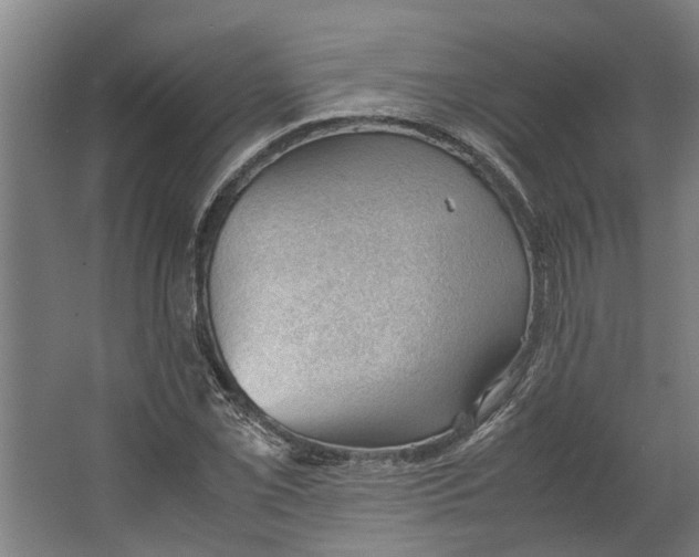 X0000062601069200601040907