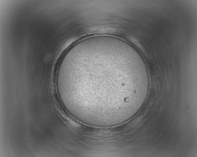 X0000062601071200601040907