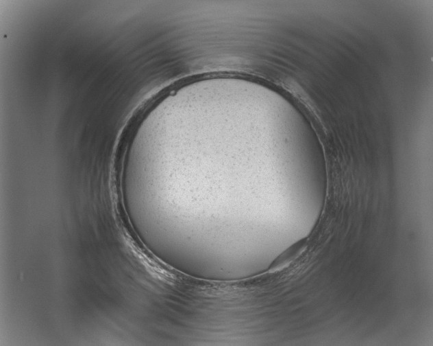 X0000062601072200601040907