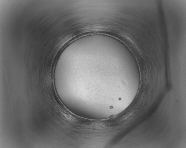 X0000062601073200601040907