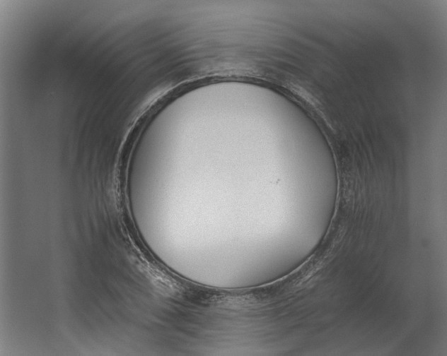 X0000062601074200601040907